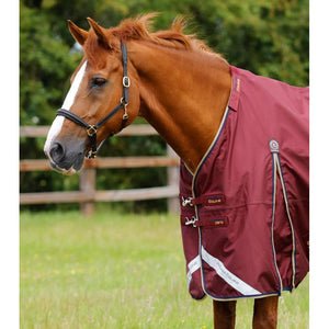Buster Zero Turnout Rug with Classic Neck Cover