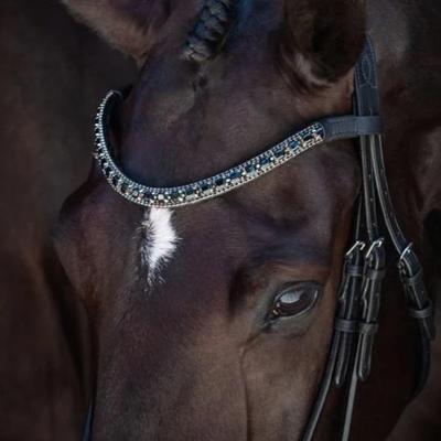 Audrey Black Italian Leather Bridle (Double) (No reins)