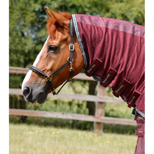 Combo Mesh Air Fly Rug with Surcingles