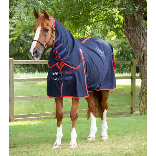 Combo Horse Stable Sheet