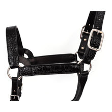 Load image into Gallery viewer, Western Crocodile Embossed Leather Show Halter
