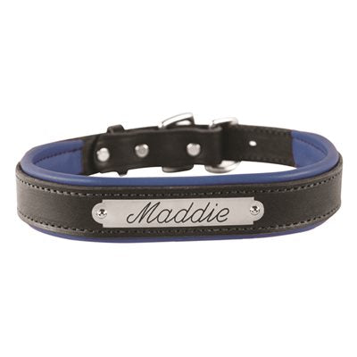 Padded Leather Dog Collar with plate