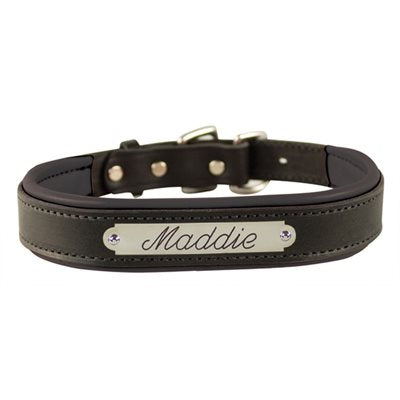 Padded Leather Dog Collar with plate