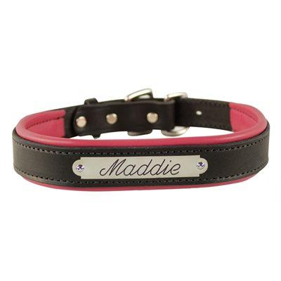 Custom Padded Leather Dog Collar w/plate
