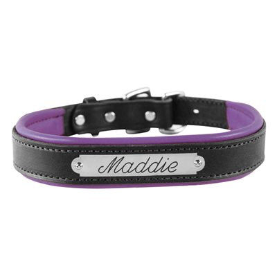 Padded Leather Dog Collar with plate