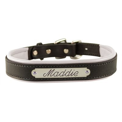 Padded Leather Dog Collar with plate