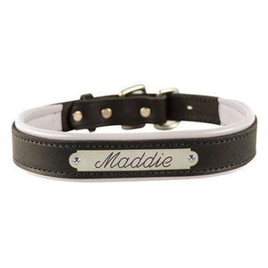 Custom Padded Leather Dog Collar w/plate