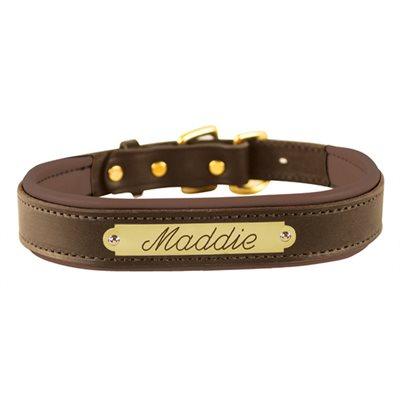 Custom Padded Leather Dog Collar w/plate