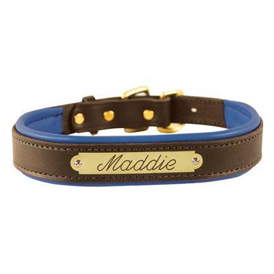 Custom Padded Leather Dog Collar w/plate