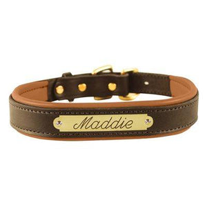 Custom Padded Leather Dog Collar w/plate