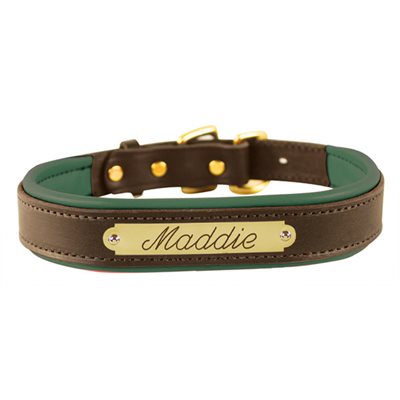 Padded Leather Dog Collar with plate