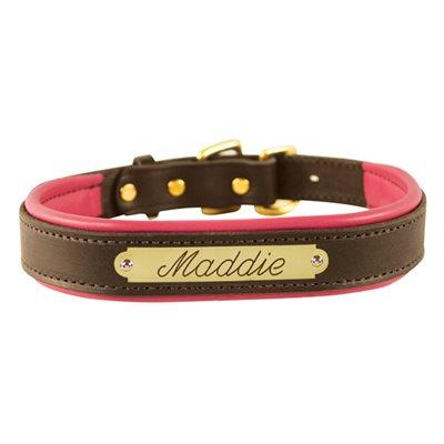Custom Padded Leather Dog Collar w/plate