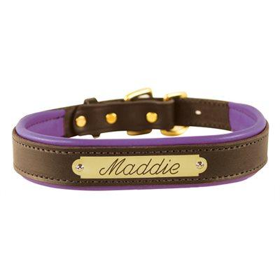 Custom Padded Leather Dog Collar w/plate