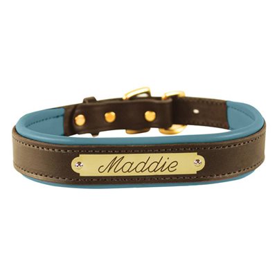Padded Leather Dog Collar with plate