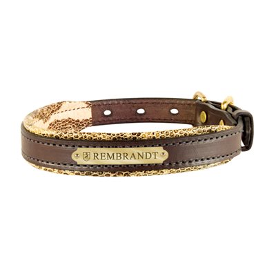 Padded Leather Dog Collar with plate