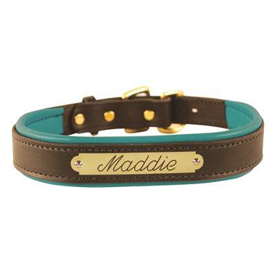Custom Padded Leather Dog Collar w/plate