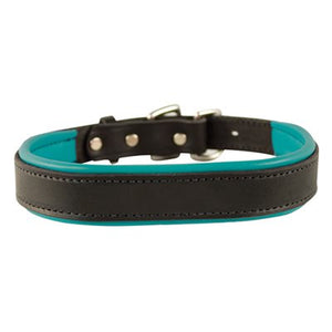 Padded Leather Dog Collar