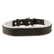 Load image into Gallery viewer, Padded Leather Dog Collar