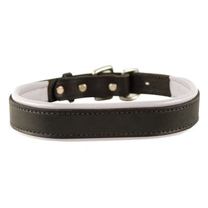 Padded Leather Dog Collar