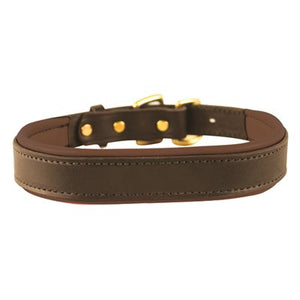 Padded Leather Dog Collar