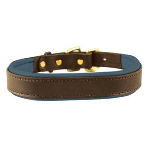 Padded Leather Dog Collar