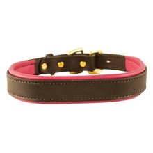 Load image into Gallery viewer, Padded Leather Dog Collar