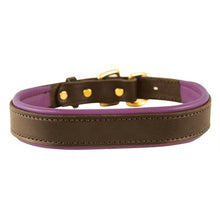 Load image into Gallery viewer, Padded Leather Dog Collar