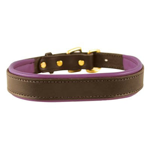 Padded Leather Dog Collar