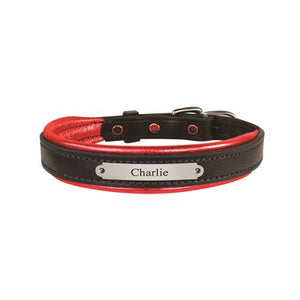 Padded Leather Dog Collar with plate