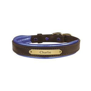 Padded Leather Dog Collar with plate