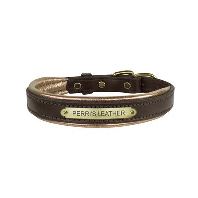 Padded Leather Dog Collar with plate