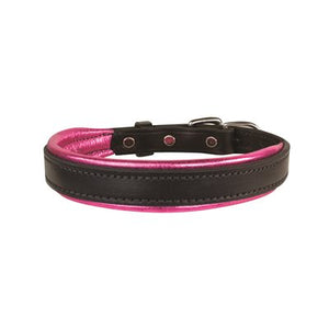 Padded Leather Dog Collar