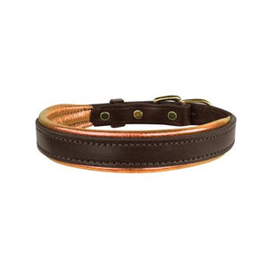 Padded Leather Dog Collar