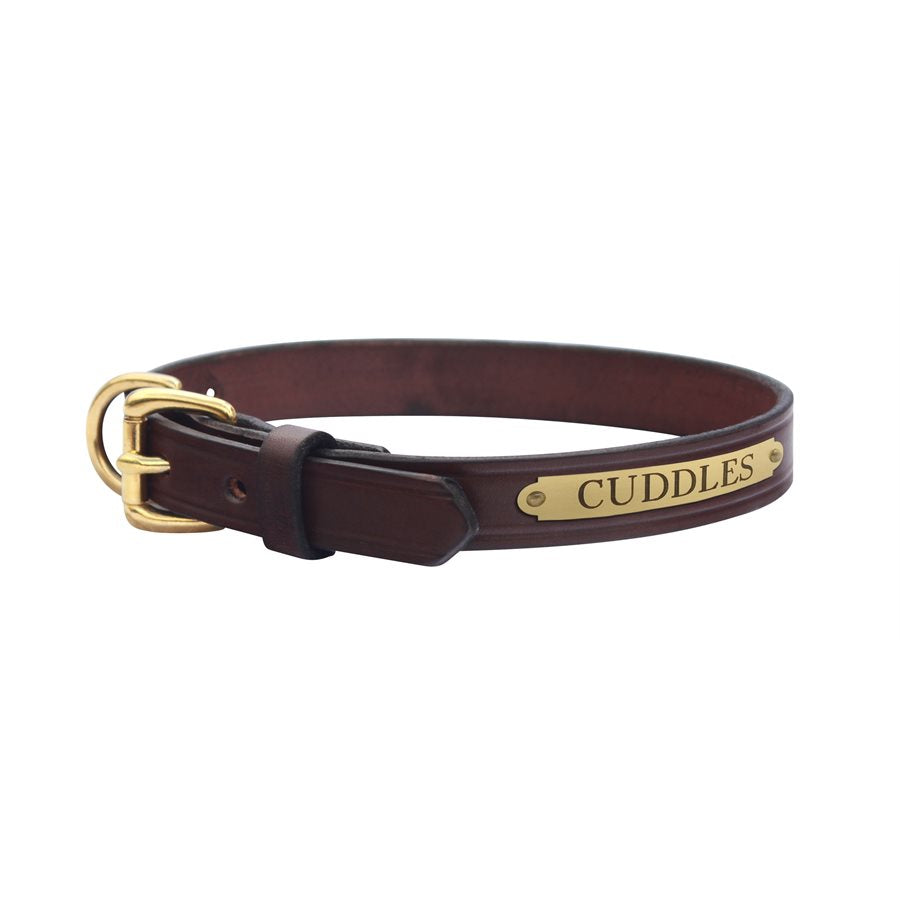Flat Leather Dog Collar with plate