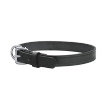 Load image into Gallery viewer, Flat Leather Dog Collar
