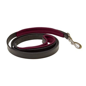 Padded Leather Dog Leash