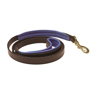 Padded Leather Dog Leash