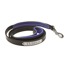 Load image into Gallery viewer, Padded Leather Dog Leash with Plate