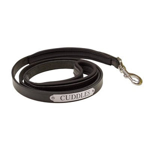 Padded Leather Dog Leash with Plate