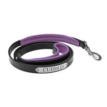 Load image into Gallery viewer, Padded Leather Dog Leash with Plate