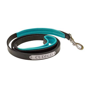 Padded Leather Dog Leash with Plate