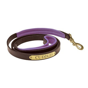 Padded Leather Dog Leash with Plate