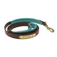 Load image into Gallery viewer, Padded Leather Dog Leash with Plate