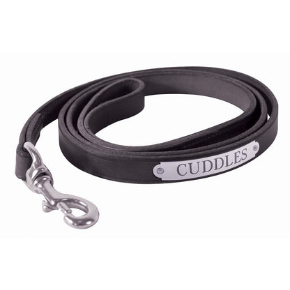 Flat Leather Dog Leash with plate