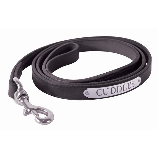 Flat Leather Dog Leash with plate