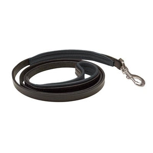 Skinny Padded Leather Dog Leash