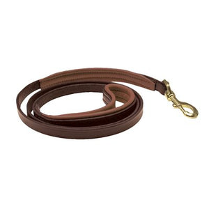 Skinny Padded Leather Dog Leash