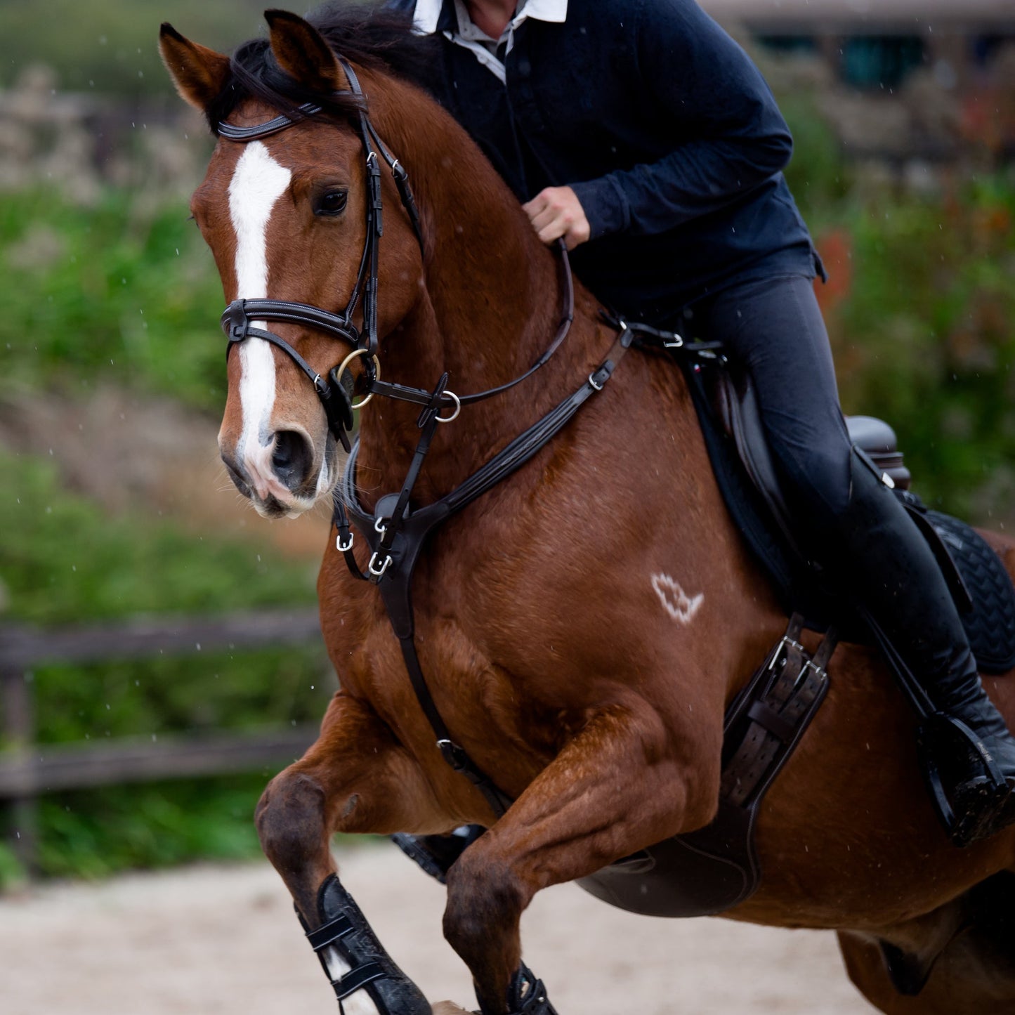 Victory 3 Point Breastplate - Clearance