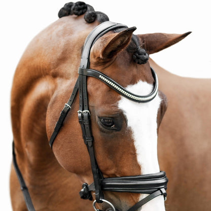 Melodie Classic Bridle (No reins)
