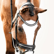 Load image into Gallery viewer, Melodie Clincher Browband